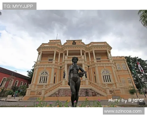 巴西小孩对足球明星的热爱与梦想交织的故事